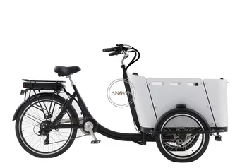 Taşımacılığı Elektrikli Üç Tekerlekli Bisiklet Sıcak Satış Demir Çerçeve Ters Bisiklet Yeni Aile Üç Tekerlekli Kargo Bisiklet İnsanlı Bisiklet
